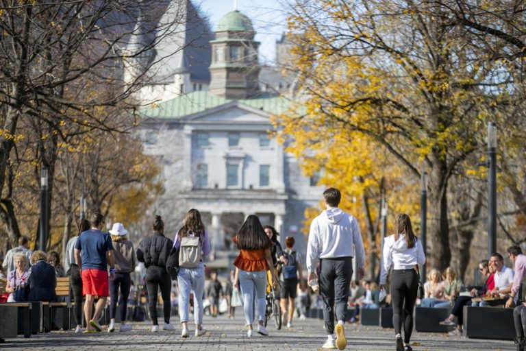 Action plan on French |  Quebec tightens the screws on McGill and Netflix