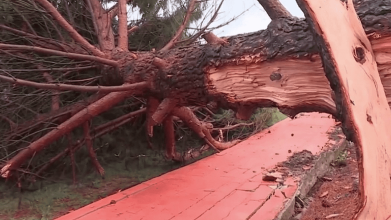 Bad weather: significant damage in Var and Ardèche