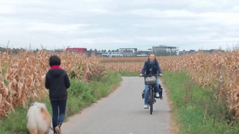 Bas-Rhin: Niederhausbergen, the village where the bicycle replaces the car