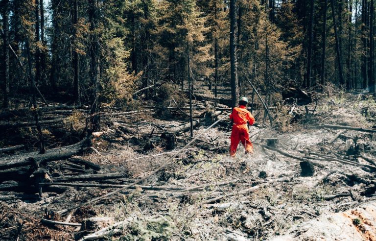 Brian Paré, accused of starting forest fires, could tell right from wrong