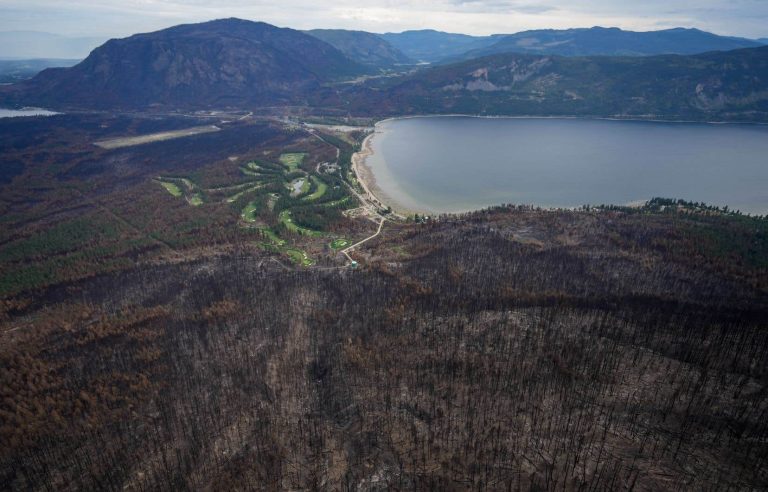 British Columbia’s response to wildfires under investigation