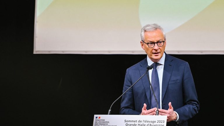 Bruno Le Maire calls on the majority to find “a billion additional savings” in 2024