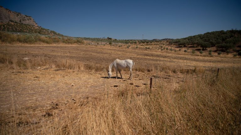 Climate change poses ‘existential threat’ to life on Earth, group of scientists warns