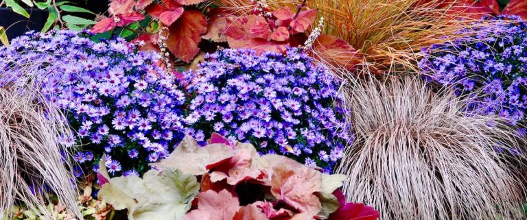 Don’t despair, you can enjoy your garden until December!