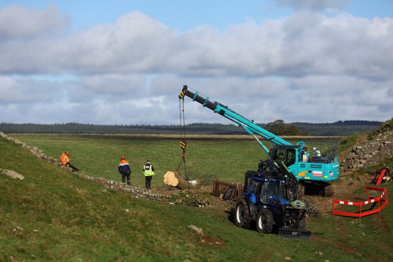 England |  The trunk of the famous felled tree removed, call for ideas to pay homage to it