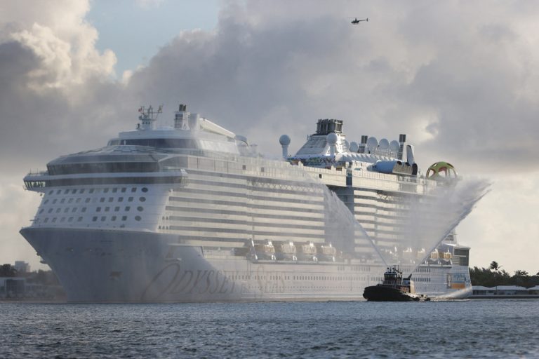 Environment |  Towards sustainable cruises?