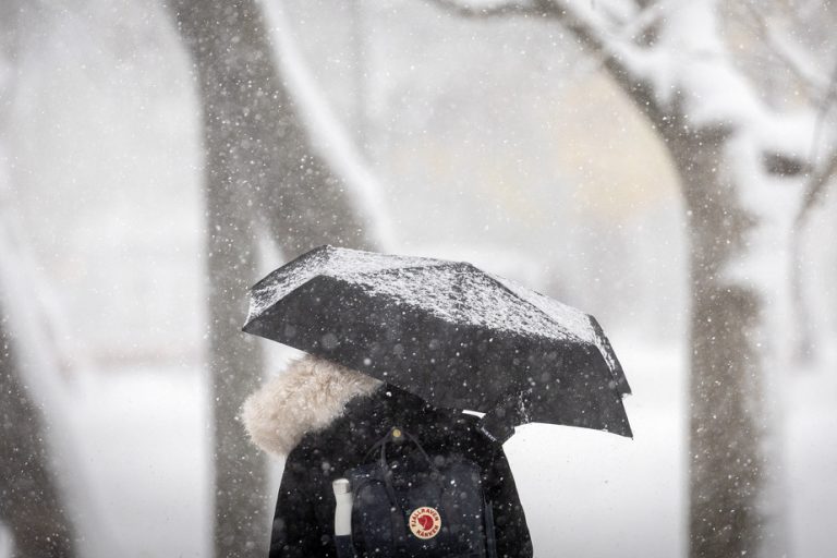 Weather |  First snowflakes expected in Quebec at the start of the week