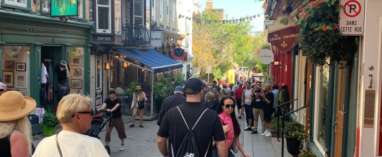 Five cruise ships at the same time: the Petit Champlain crowded, the traders happy