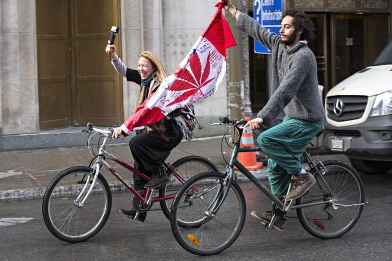 Five years of cannabis legalization |  Quebec not so crazy about cannabis