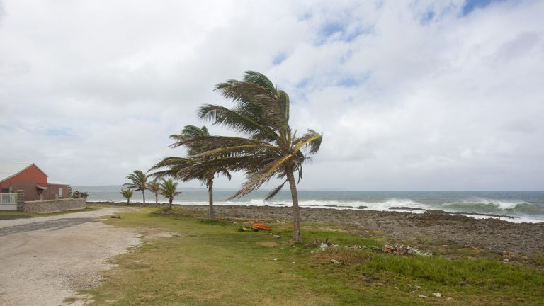 Guadeloupe has gone into cyclone red alert, Martinique into orange vigilance