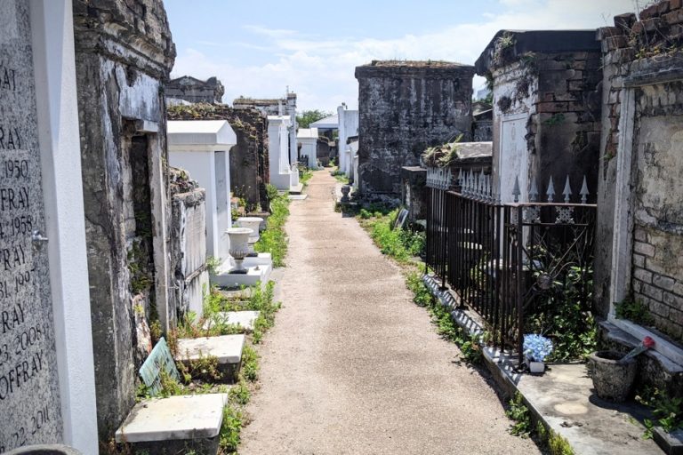 Halloween |  Little scares in New Orleans