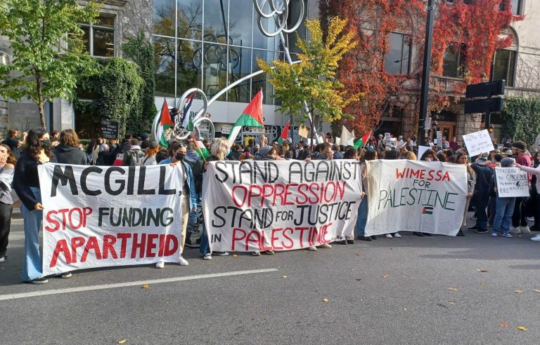 Hundreds of people demonstrate for Palestine in Montreal