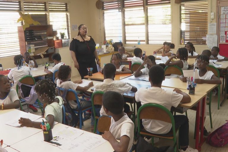 International Day of Creole Language and Culture: continue and accentuate the teaching of Guyanese Creole so that it continues