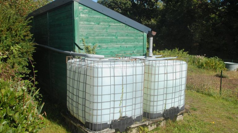 Is it forbidden to water your garden with collected rainwater?