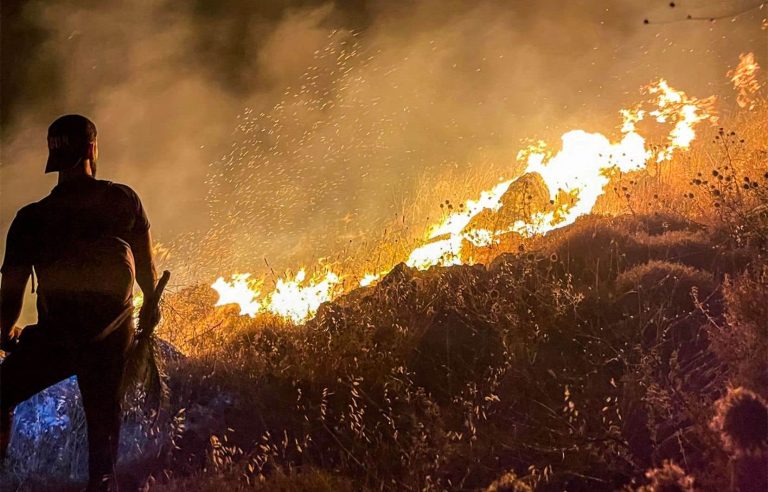 Life on Earth is ‘under siege’, leading scientists warn