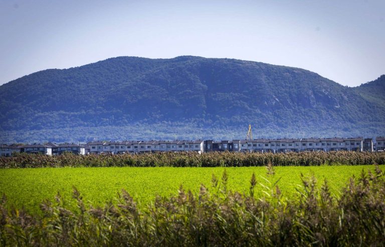 More than 1,100 hectares diverted from their agricultural vocation by decree in 25 years by Quebec