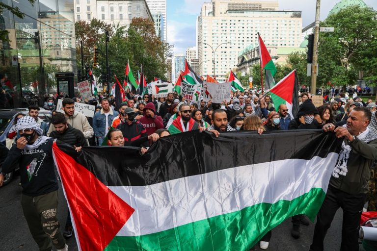 Pro-Palestine demonstration |  “It’s not terrorism, it’s resistance”