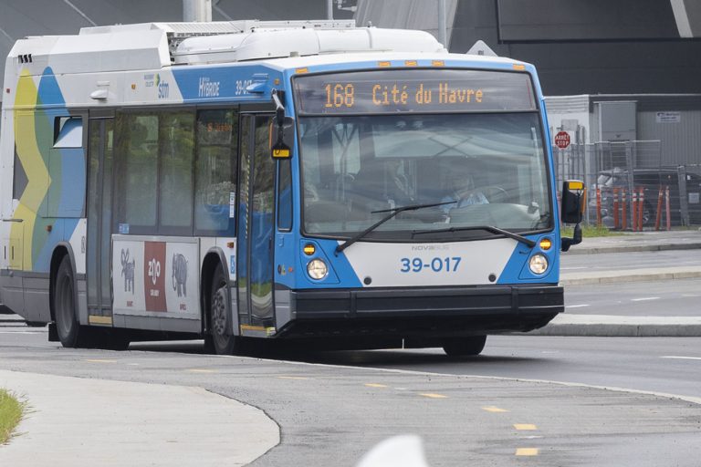 Punctuality of STM buses |  “The pressure is too great” on drivers