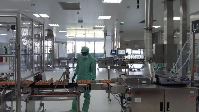 REPORTING.  We visited the Sanofi factory where the flu vaccine is made with… chicken eggs