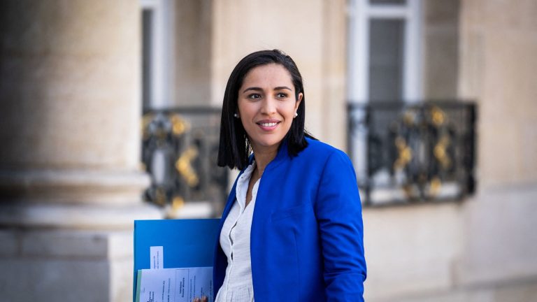 Secretary of State for Biodiversity Sarah El Haïry announces that she is pregnant and has had recourse to PMA