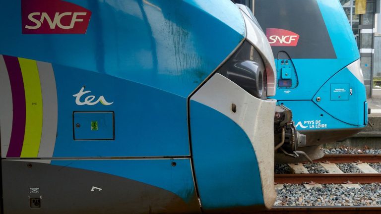 TER traffic will be interrupted on Thursday in five regions of north-west France