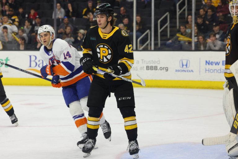 The Bruins leaders supported Frédéric Brunet well