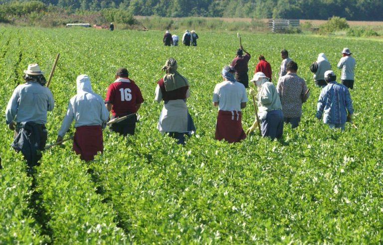 The CAQ refuses to hear the UN special rapporteur on closed work permits