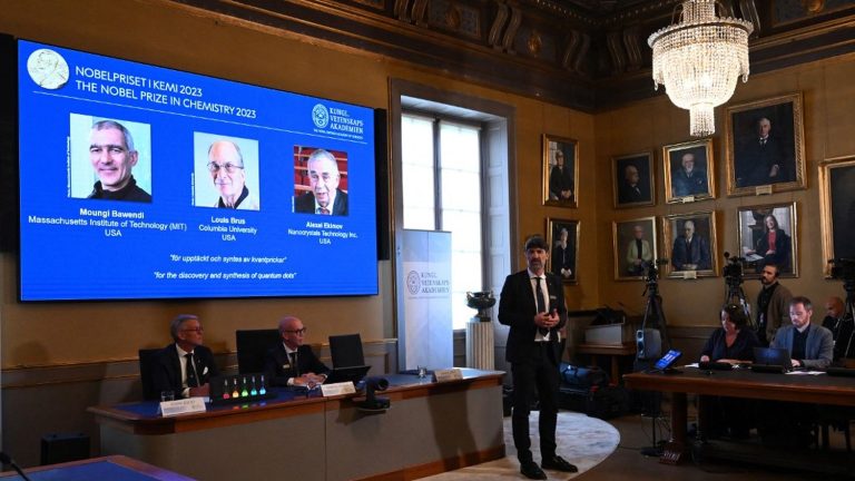 The Nobel Prize in Chemistry awarded to three researchers based in the United States for their “fundamental discovery in the field of nanotechnology”