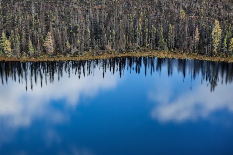 “We need to review our ways of managing the forest, it’s urgent”