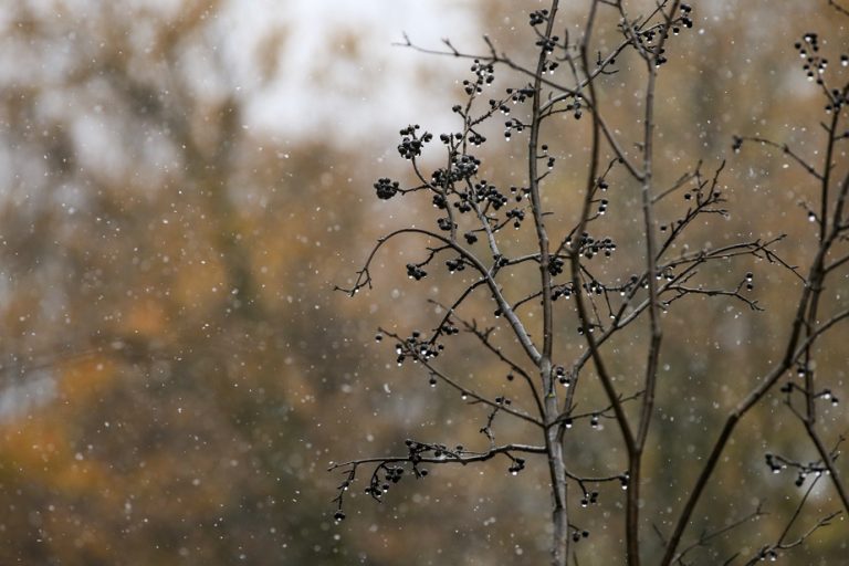 Weather |  The first snowflakes expected in Quebec this Sunday