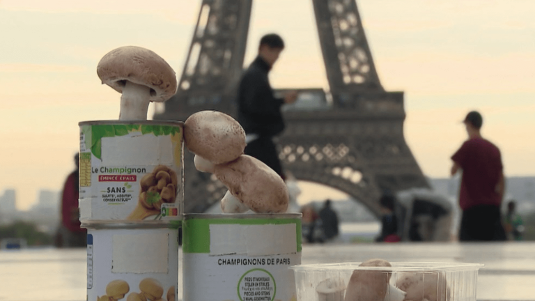 Where does the “Paris mushroom” come from?