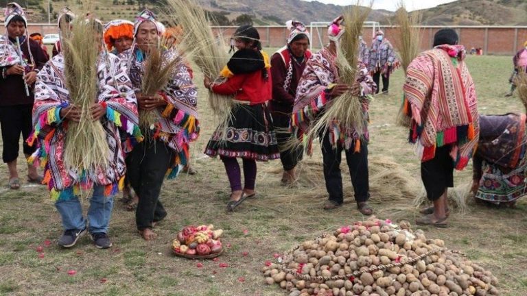 a laboratory to preserve 1,400 varieties of potatoes