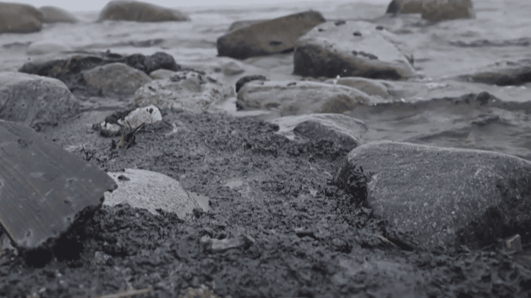 a ship stranded in Sweden raises fears of ecological disaster