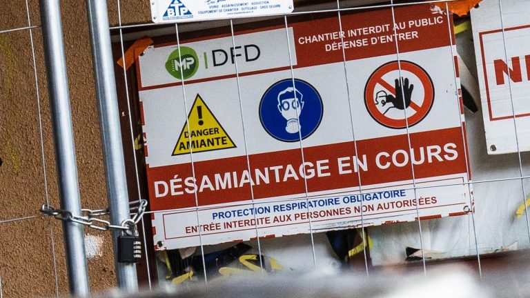 asbestos remains the leading cause of occupational diseases in France, despite its ban more than 25 years ago