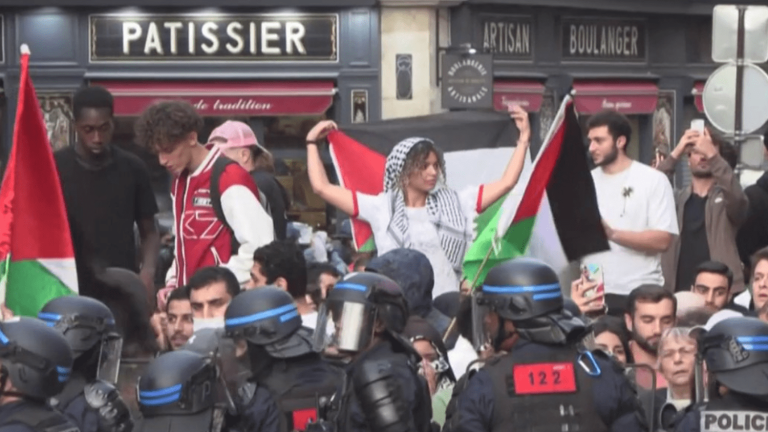 despite the ban, 3,000 people gathered for Palestine in Paris