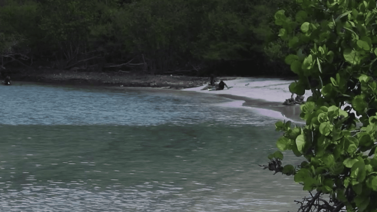 discovering Maho Bay, a heavenly beach