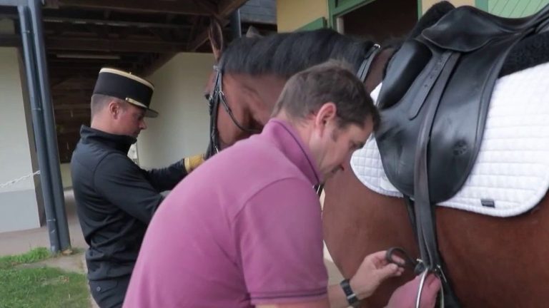 discovering the job of caring groom