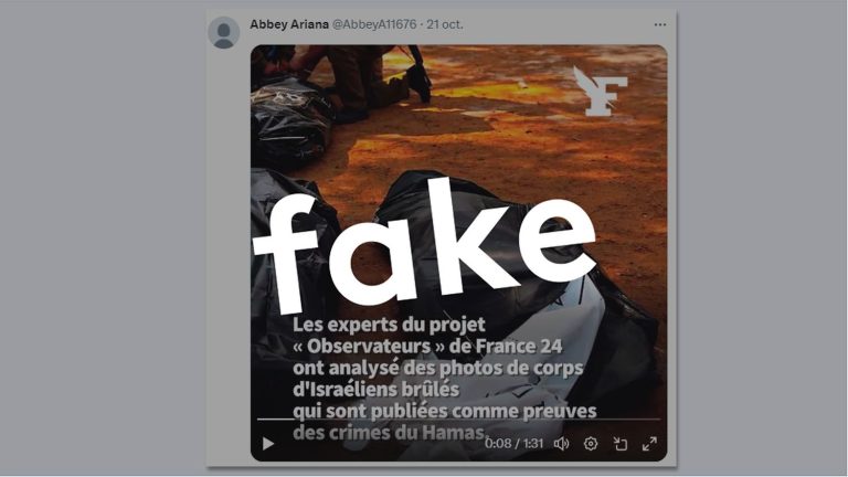 false reports broadcast on social networks use the codes of fact-checkers