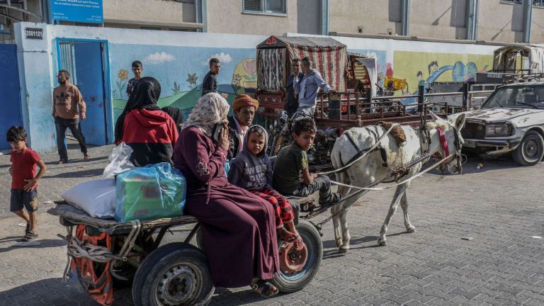 in Gaza, the ordeal of residents who left to take refuge in the south of the Palestinian territory