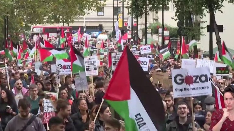 pro-Palestine demonstrations in several countries