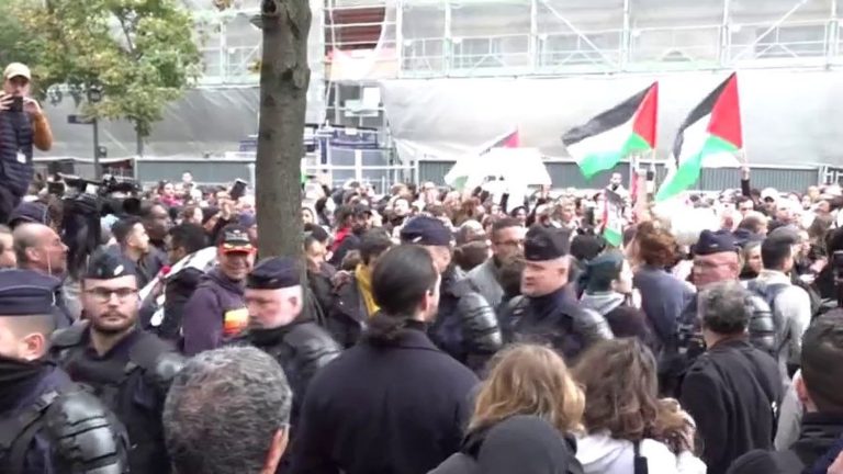 several hundred people gathered in Paris in support of Palestine