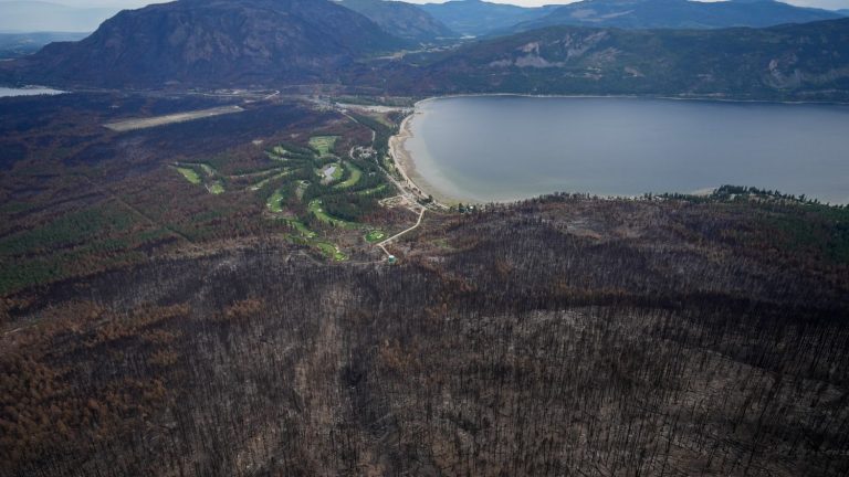 the gigantic fires in Canada and Tenerife are still active