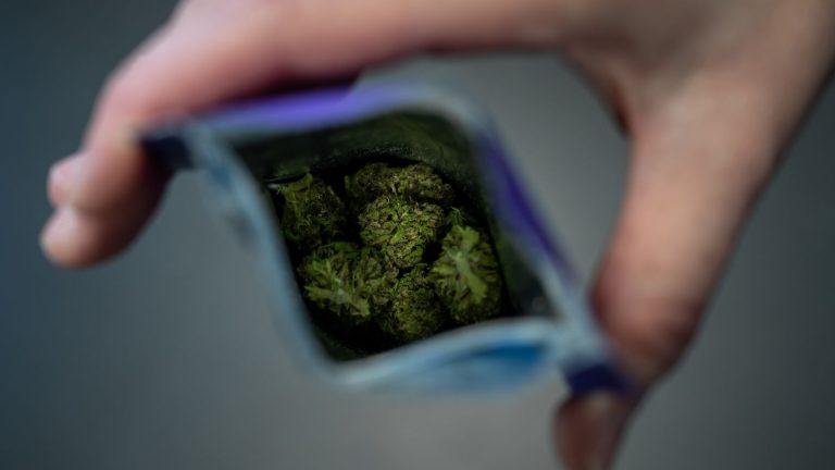 the sale of medical cannabis will come into force for the first time