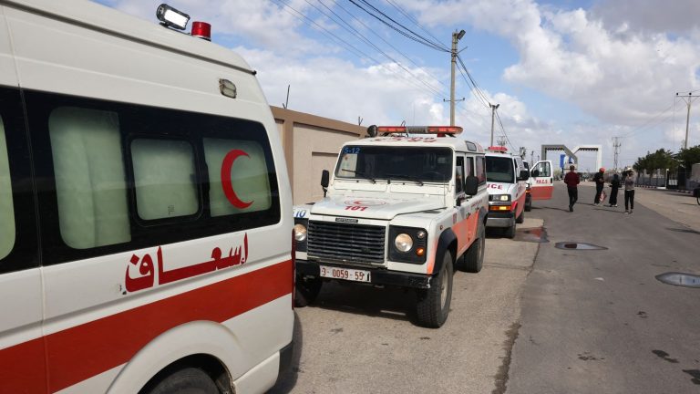 28 premature babies evacuated from Gaza hospital arrive in Egypt