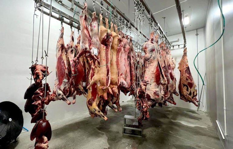 A Marieville slaughterhouse sued for contaminated carcasses