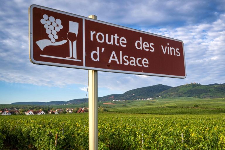 Alsace |  The Wine Route celebrates its 70th anniversary