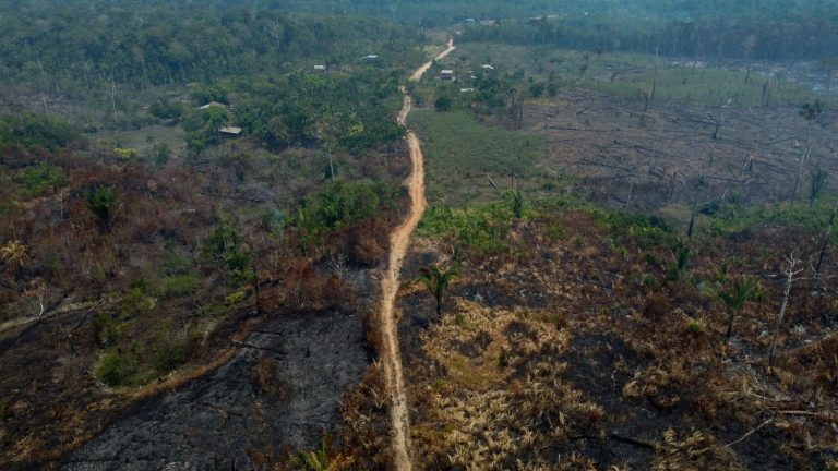 Amazon deforestation at four-year low, but drought persists