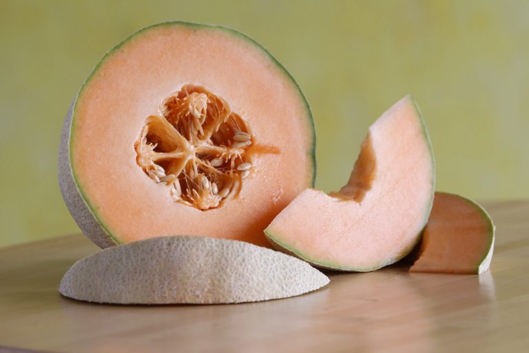 Canada |  Salmonella outbreak linked to cantaloupes leaves one dead