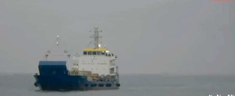 Cargo captured in the Red Sea: Japan approaches Houthi rebels “directly”