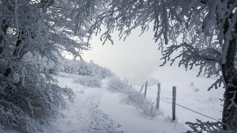 Cold, snow, frost, black ice… What is the “meteorological winter” which begins on December 1st?